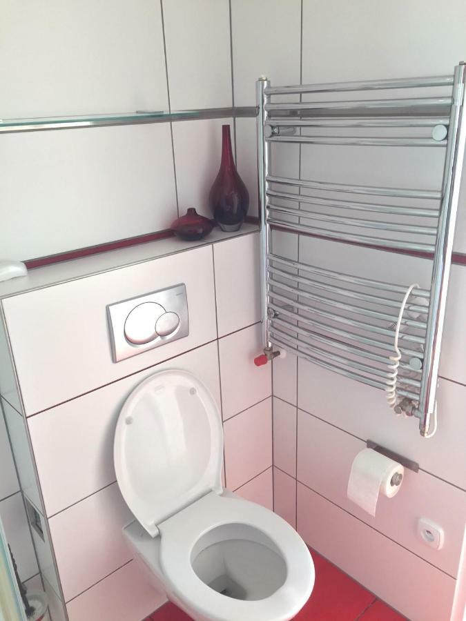 Krasny Apartman U Lesa, Trolejbus Do Centra A Bvv, Parkovani Zdarma برنو المظهر الخارجي الصورة